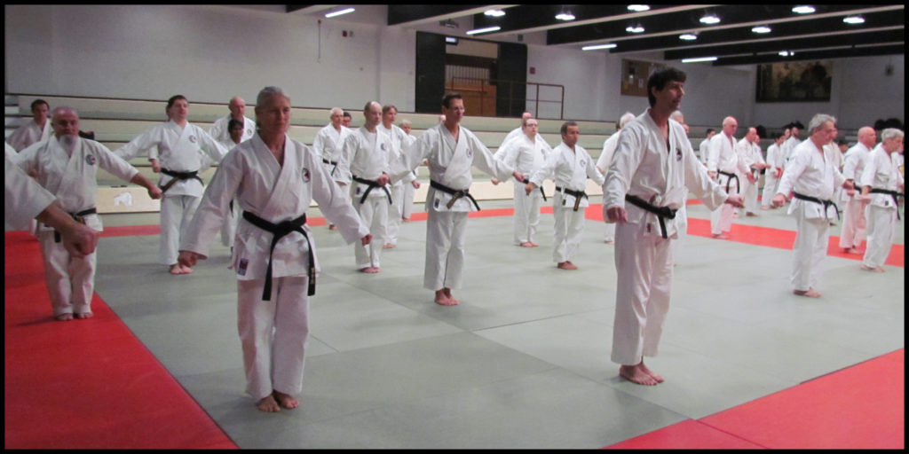 Phase initiale du kata Unsu du Shotokan.