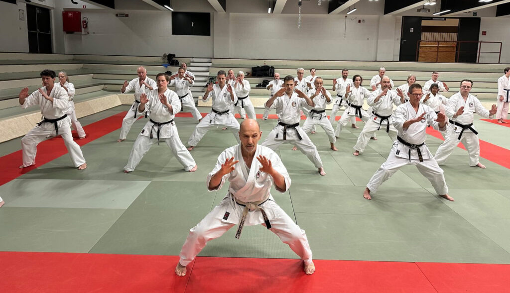 Kata Shotokan - Meikyo