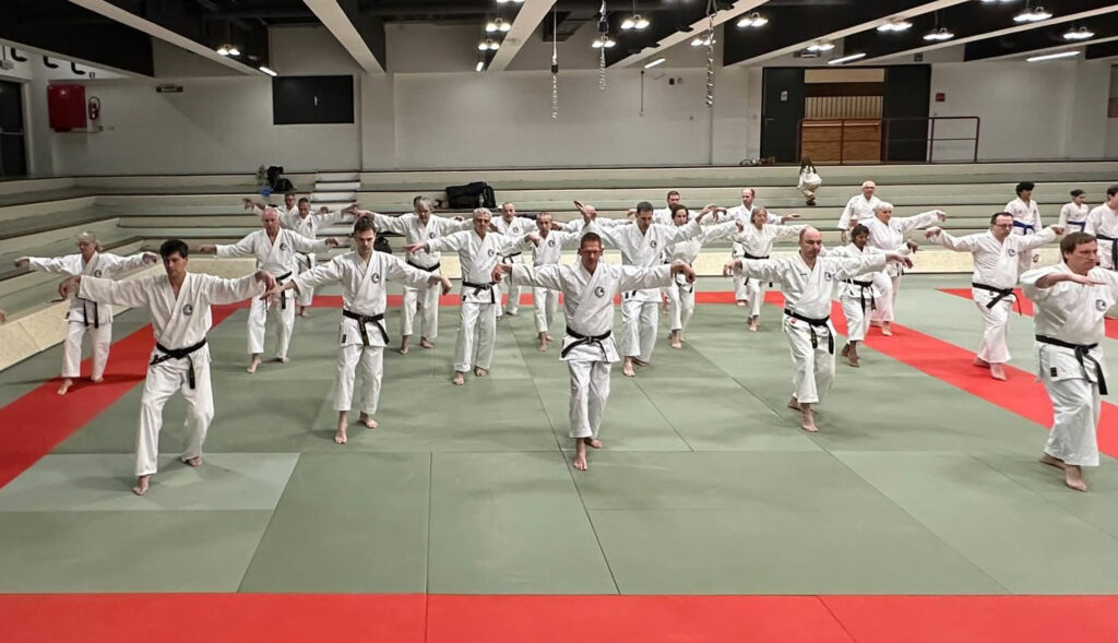 Halle 2025 - Kata Hakufa