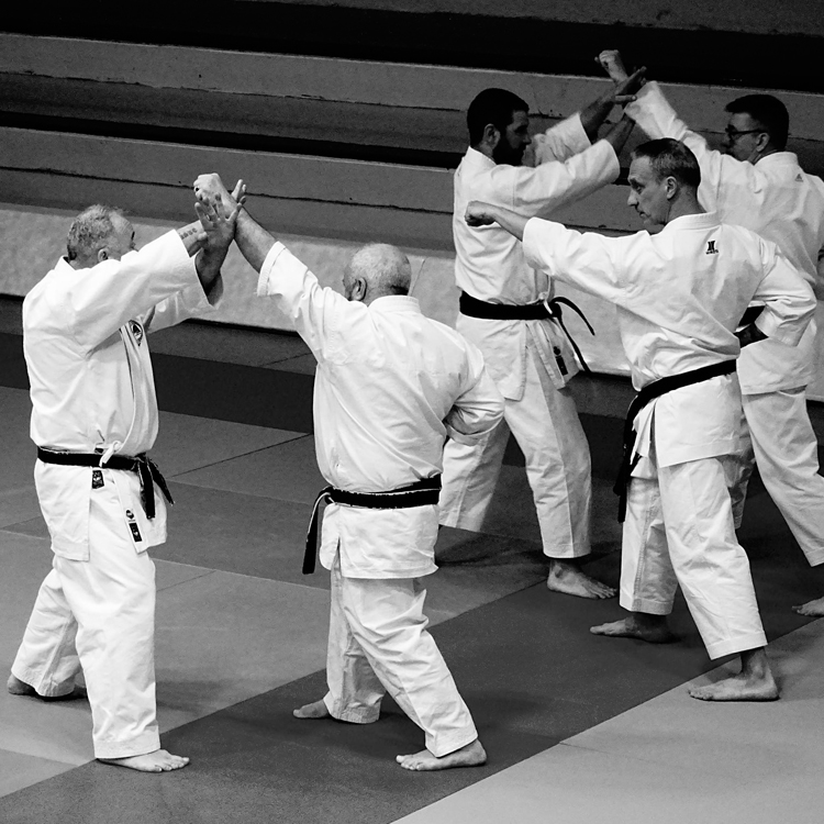 Ippon Kumité