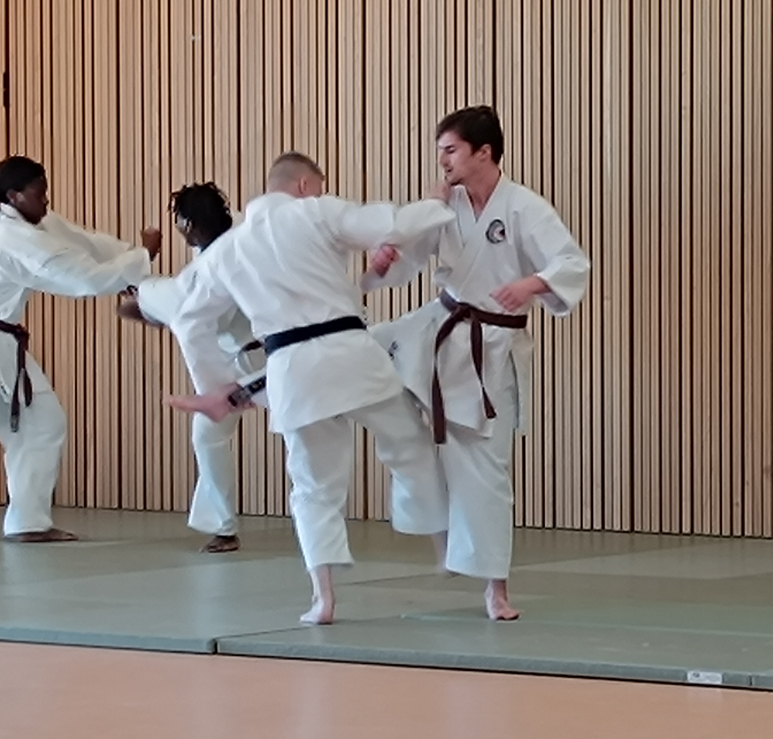 Jean-Paul Buchert en Kumite.