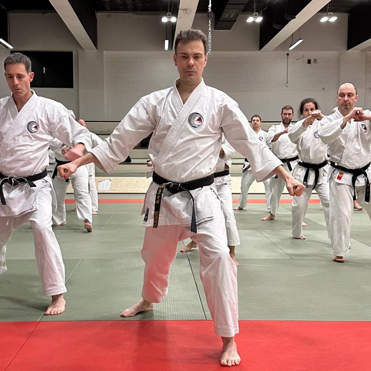 Phase du kata Meikyo, par Sébastien.
