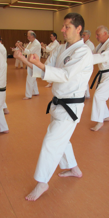 Posture du kata Sochin du style Shorin-ryu.